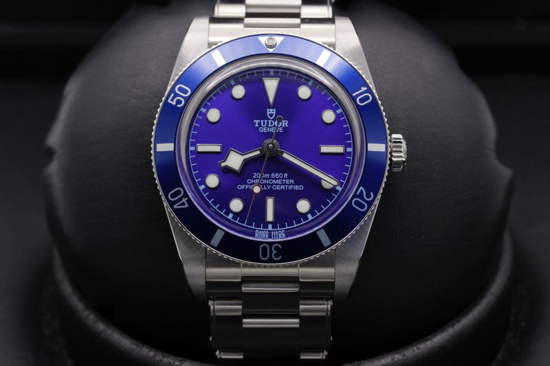 Tudor Tudor Black Bay 54 79000N